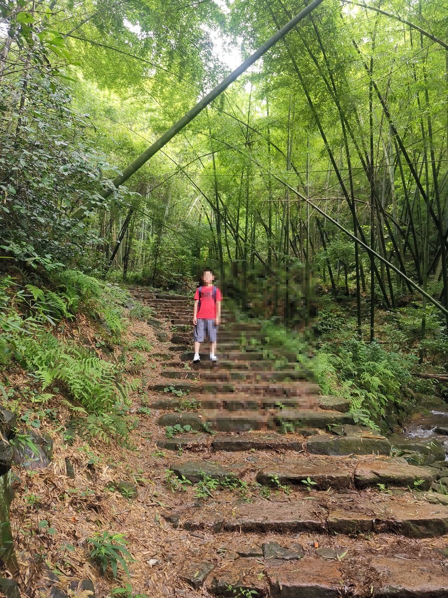 上青古道 · 竹林拾级