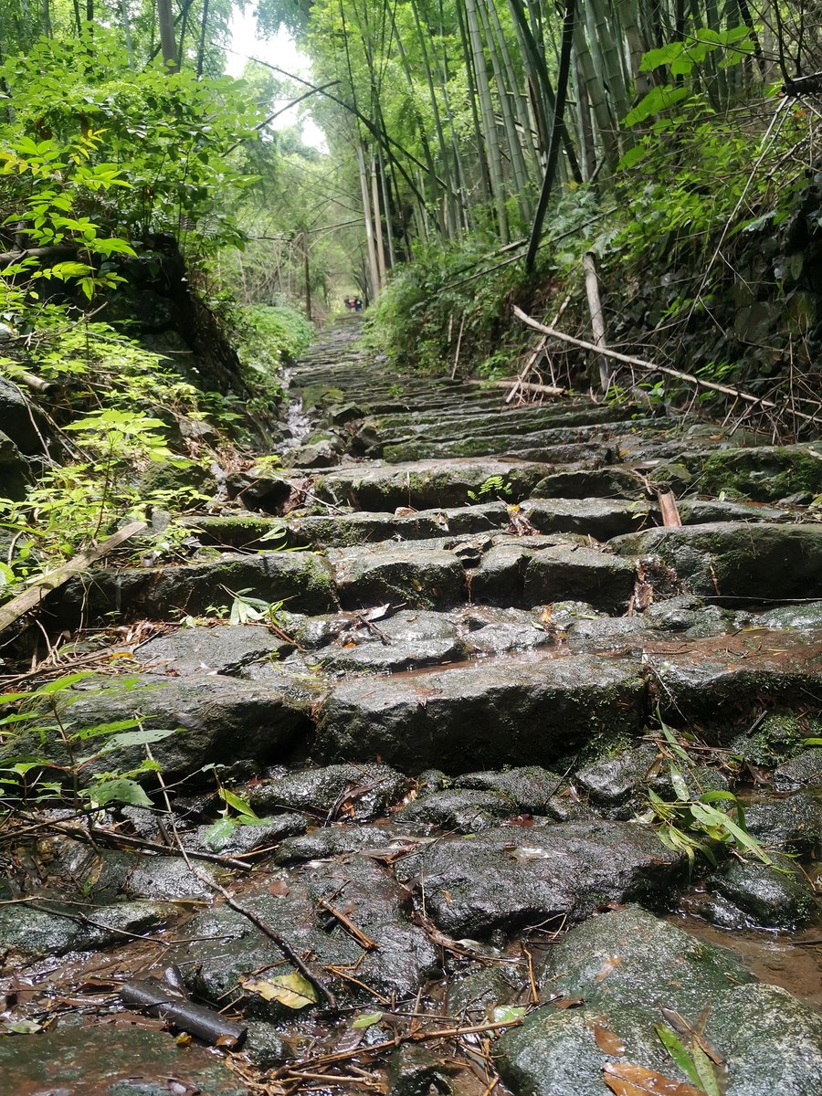 上青古道 · 越中竹影溪声