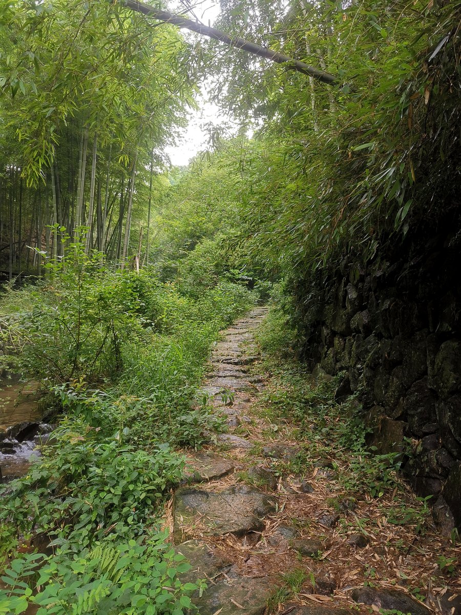 上青古道 · 竹林溪径