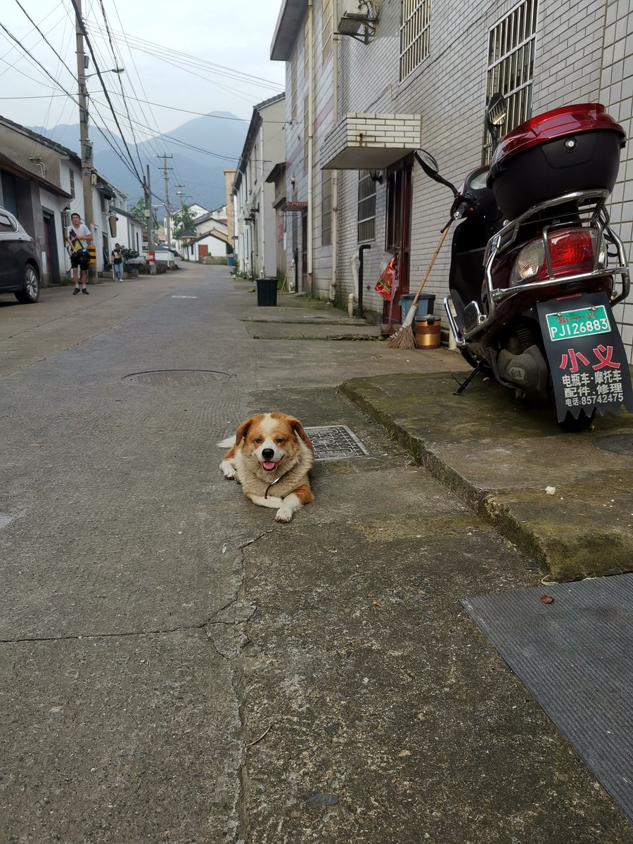 上青古道 · 青坛村巷