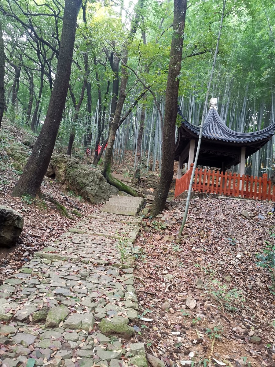光福 · 竹林凉亭