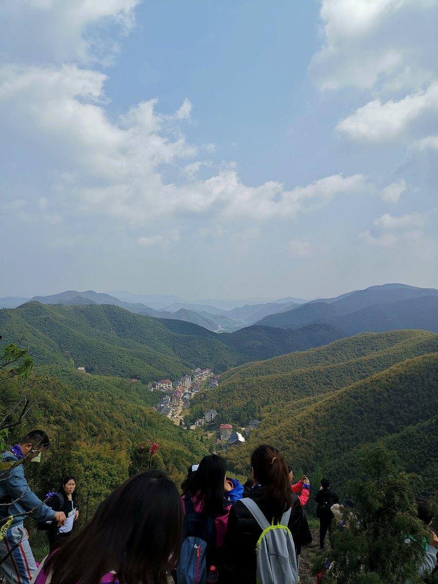 葛岭 · 春山映山红