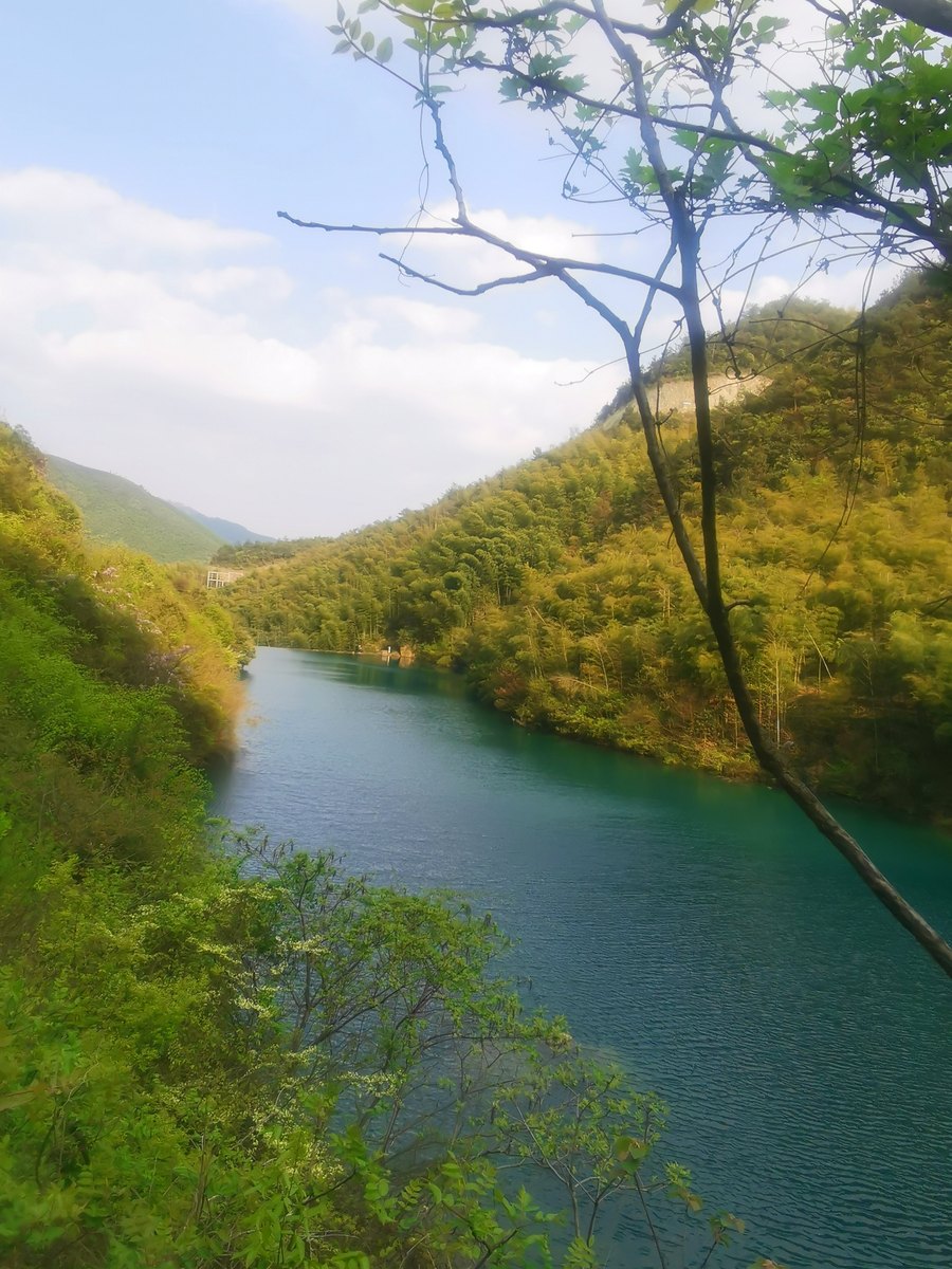 葛岭 · 谷中山溪