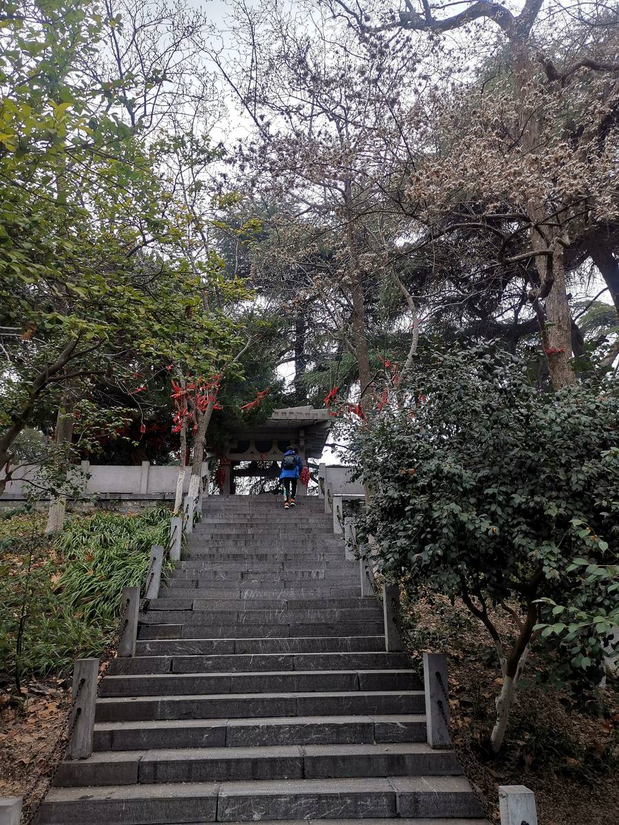 玄武湖 · 祈愿石阶