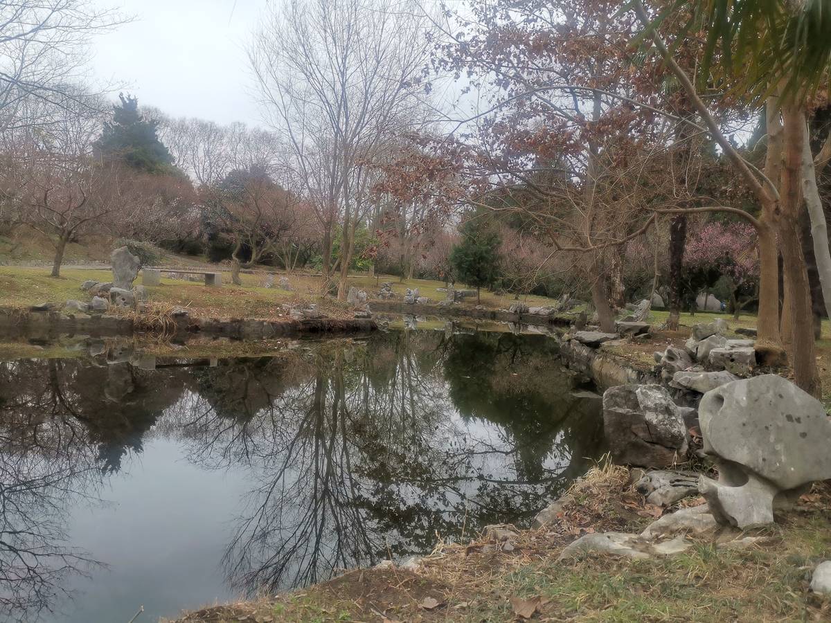 紫霞湖