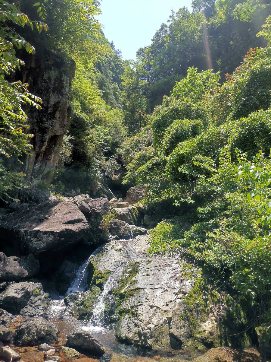 神仙居 · 峡谷溪水