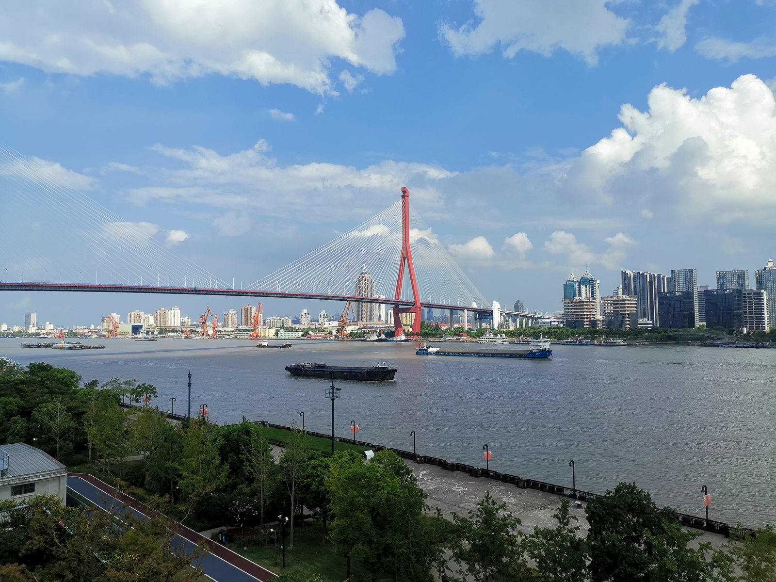 都市漫步·在杨浦滨江，听锈铁与花事
