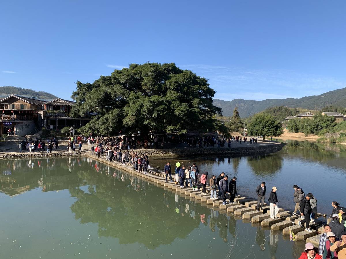 溪畔的汀步桥与古榕