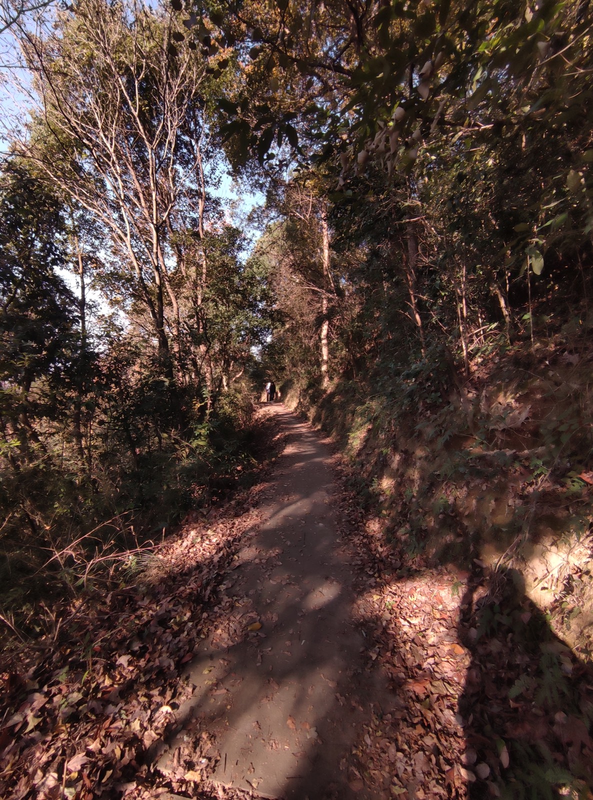 贵门 · 林间山路