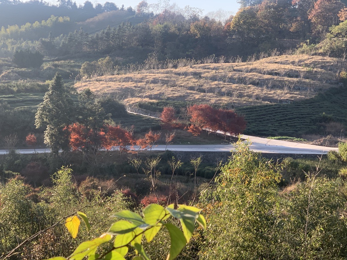 贵门 · 秋色山路