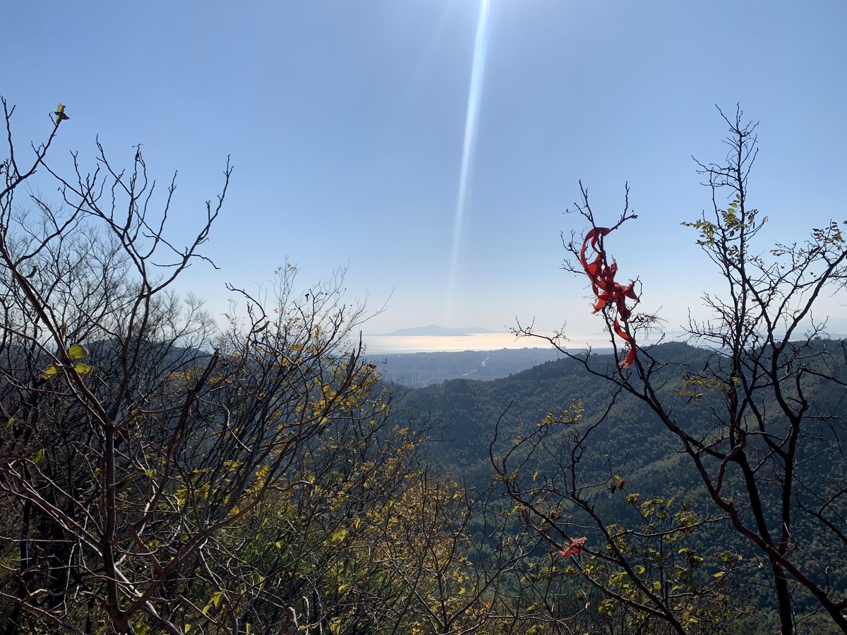 穹窿山 · 山巅红绸远眺