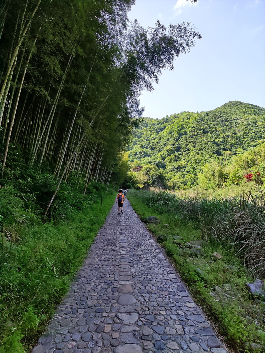 盐帮十八渡 · 竹林鹅卵石古道