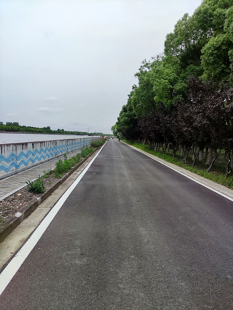 浦江之首 · 堤顶绿道