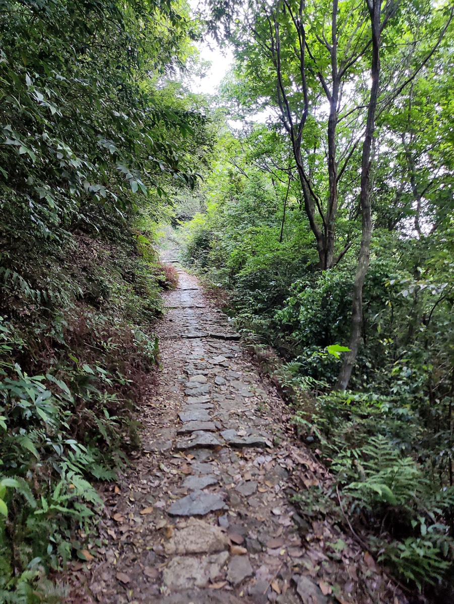 盐帮十八渡 · 石阶向上
