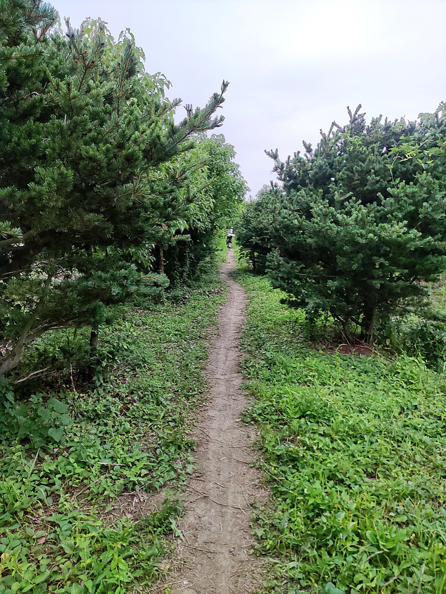 米市渡 · 林道骑行视角