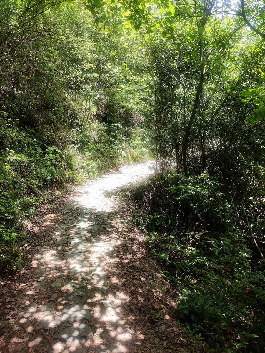 盐帮十八渡 · 林间石板路