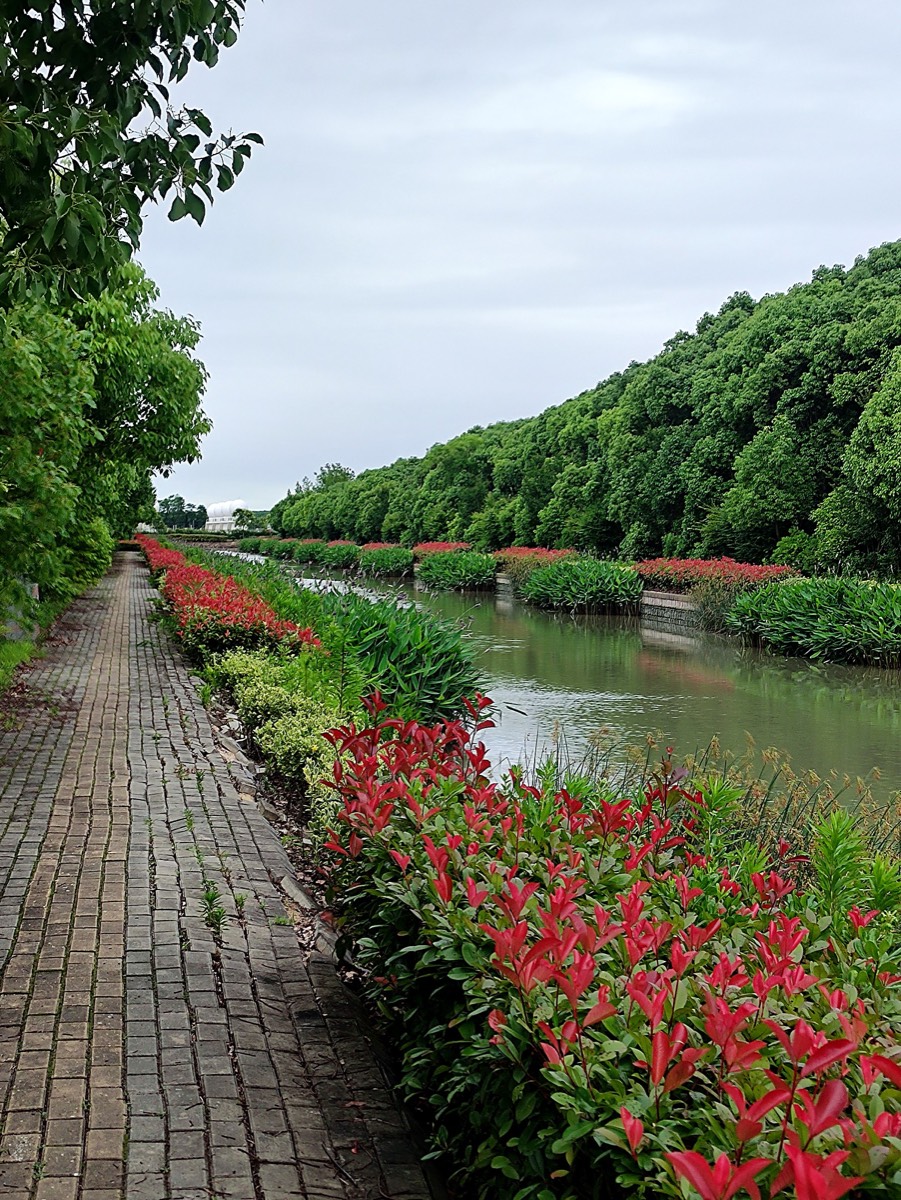 骑行 · 米市渡郊野公园