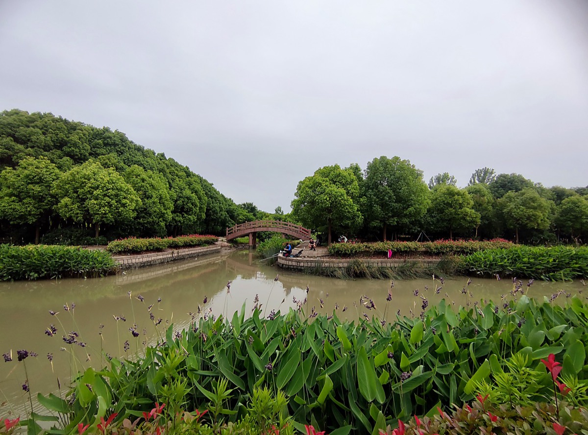 米市渡 · 湿地远眺