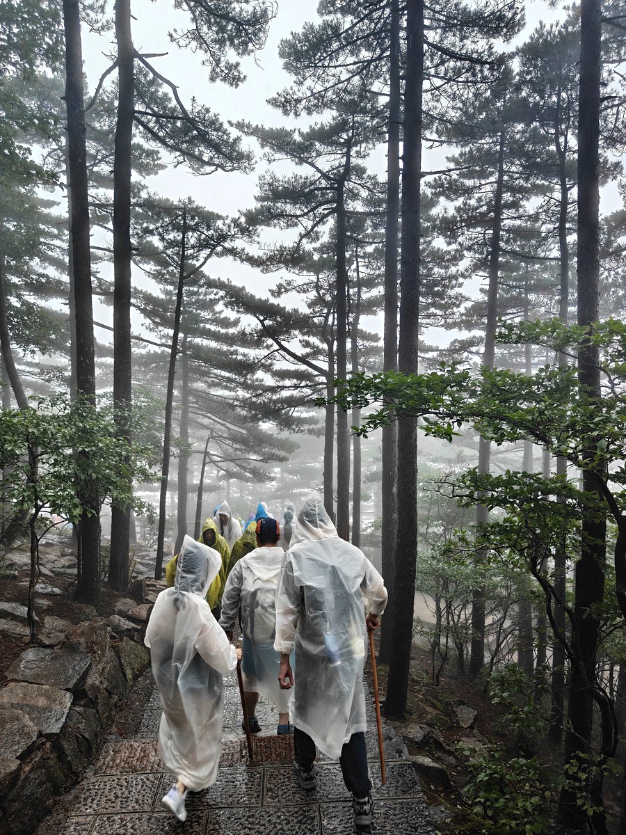 黄山 · 石径迎雨而上