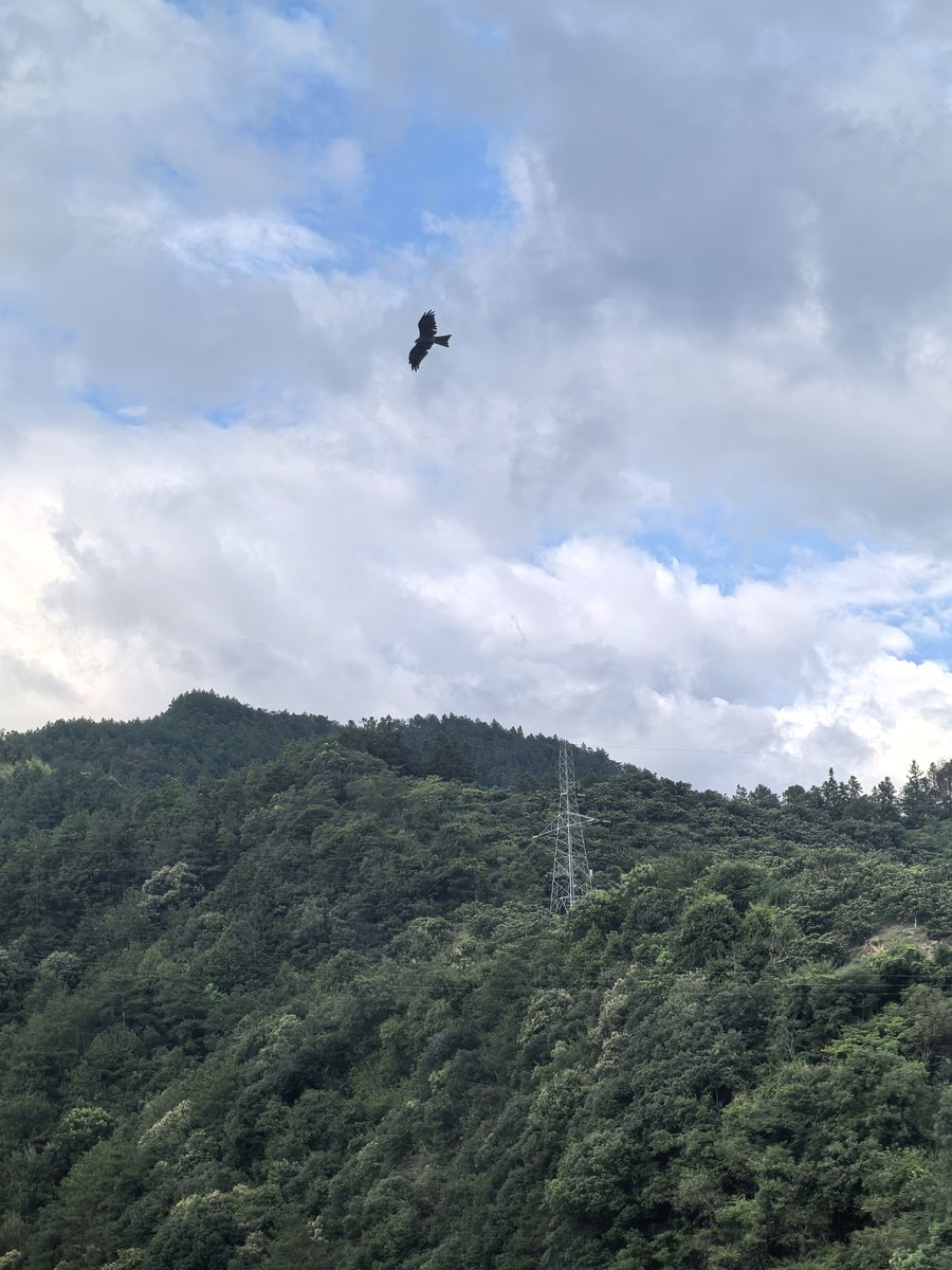 徽州 · 山野远望